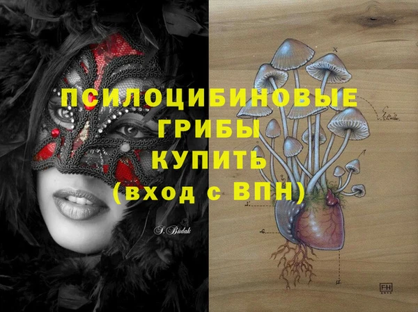 мяу мяу мука Бугульма