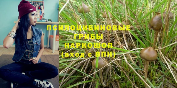 герыч Бородино