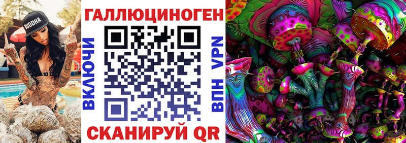 Псилоцибиновые грибы Psilocybine cubensis  OMG ссылки  Ноябрьск 